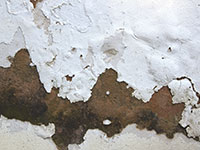 Damp Proofing